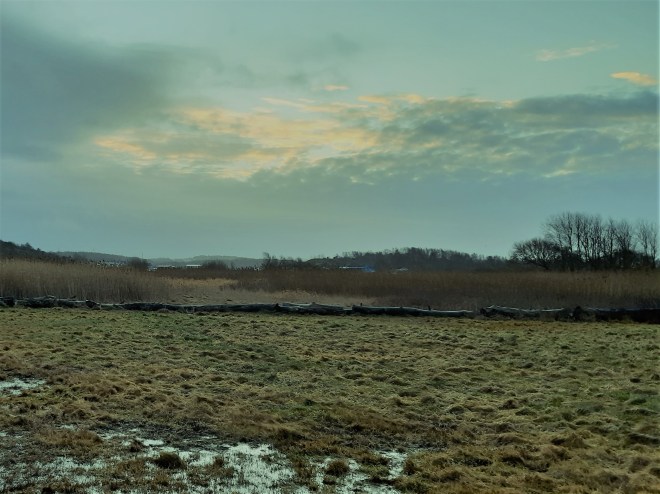 landskapsbild